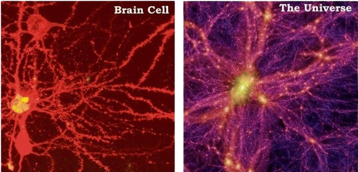 coscienza neuroni e galassie