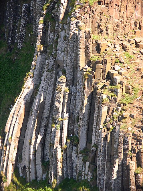 Giant's Causeway - Alberi giganti fossilizzati