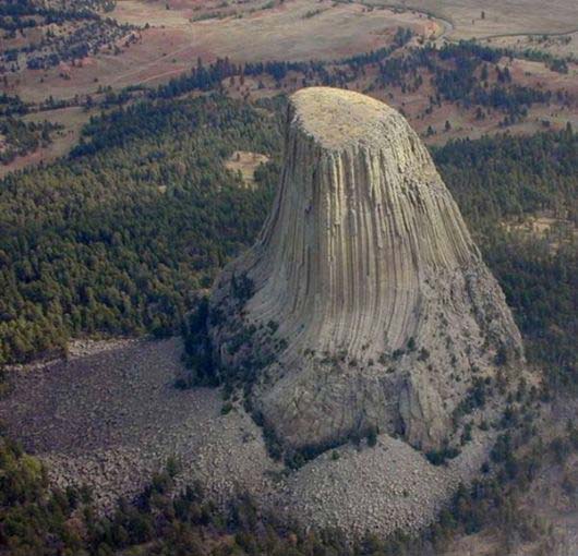 Devils Tower - Alberi giganti fossilizzati